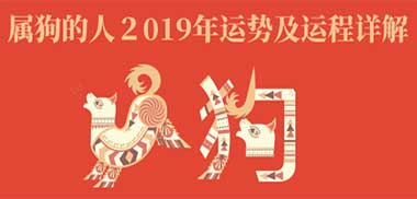 生肖马女命2018年事业运势 十二生肖运程