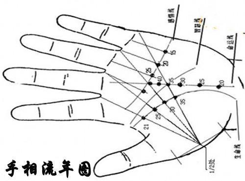 手相杂纹分析 手相不好的杂纹