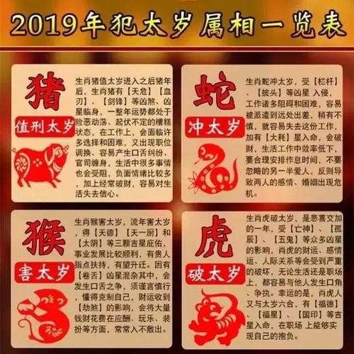 女命属猪的人2019年开运指南 2019属猪的什么命