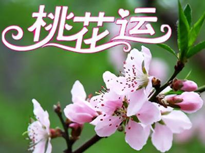 2019年桃花运最好的几大生肖 2019属鸡的桃花运