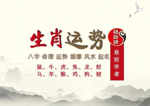 女命属马的人2019年开运指南 2019年属马的命怎么样