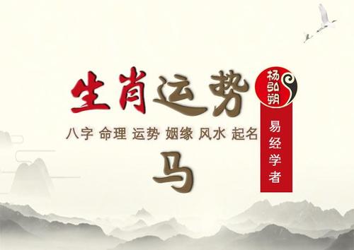 属马人2019年人缘运如何 属马运势2019