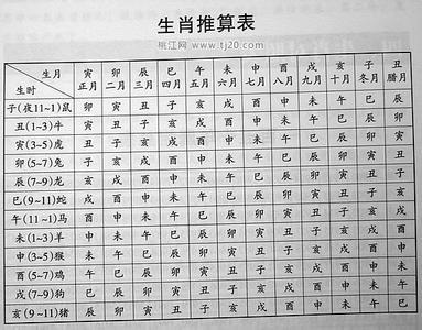 生肖马哪个时辰出生命运最好 生肖时辰