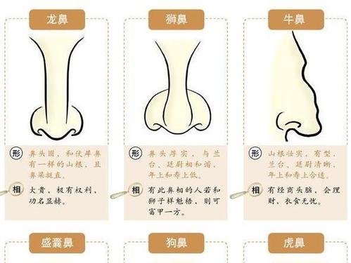 偏财运最出色的三种鼻子面相特征 面相看财运