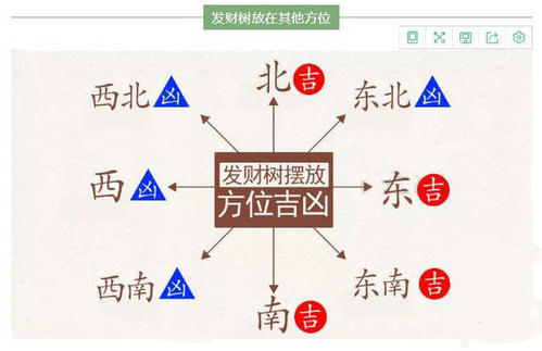 发财树的风水摆放位置 招财树摆放风水