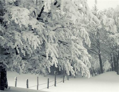 孕妇梦见雪 孕妇梦见下雪生女儿的