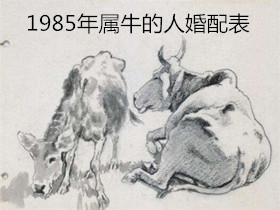 女命1985年属牛的人2019年运程 属牛35岁大劫