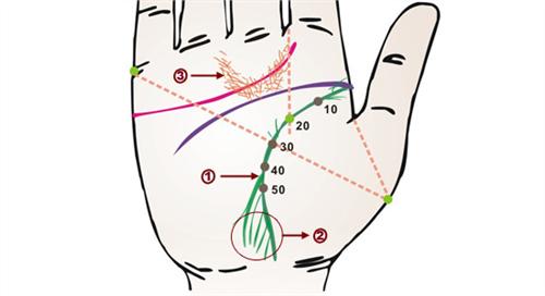 生命线怎么看,生命线怎么样才算好(二) 怎么看生命线