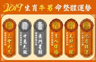 男命属牛的2019年财运怎么样 2019属牛的运势和财运