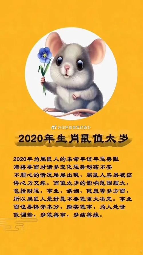 生肖属鼠人2020年农历五月搬家吉日，共有8天适合入宅乔迁 属鼠的二月出生最好命