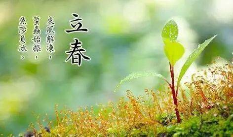 立春风水养阳助生发运气好的方法如何实现 风水上属阳的植物