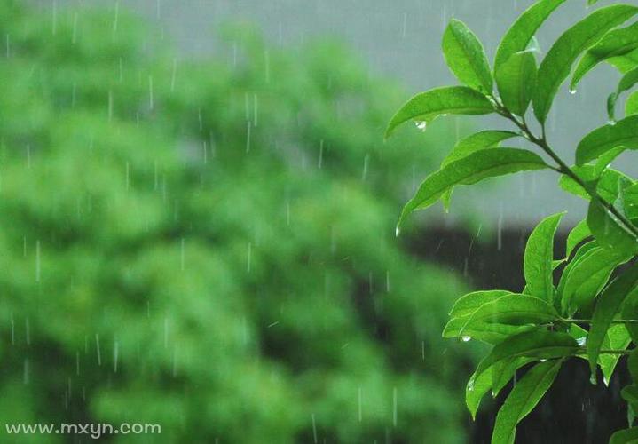 梦见下小雨是什么意思 周公解梦梦见下小雨