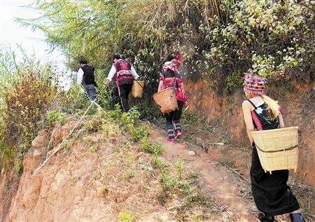 梦见上山迷路是什么意思【好不好】 梦见爬山迷路了是什么寓意