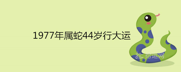 什么是行大运 1977年属蛇未来5年大运