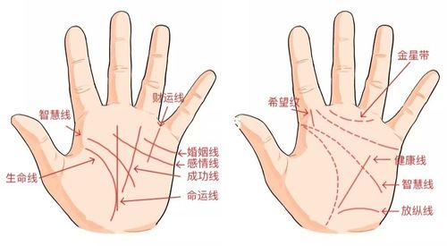 手相算命图解掌纹-婚姻线 如何看手相财运