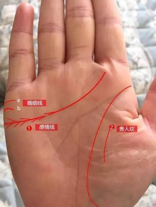 婚姻线分叉怎么办 婚姻线分叉会离婚吗？ 婚姻线分叉怎么改善