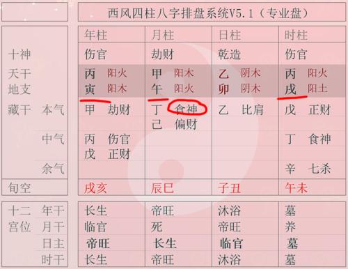 富埒王侯之“伤官生财格” 从儿格与伤官生财格的探讨