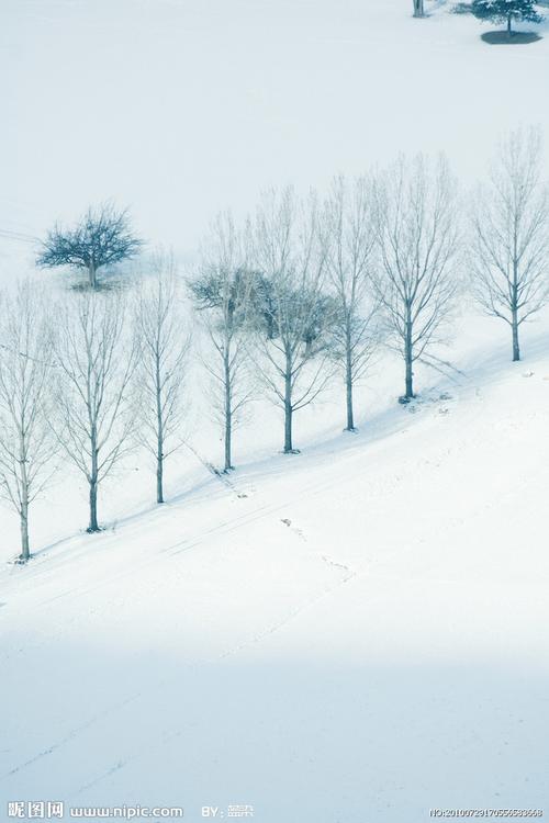 冰天雪地打一生肖 冰天雪地是什么生肖 四面八方打一生肖