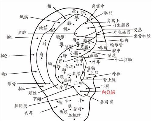 耳朵看你命中富贵清苦 耳朵哪里的痣有福气图