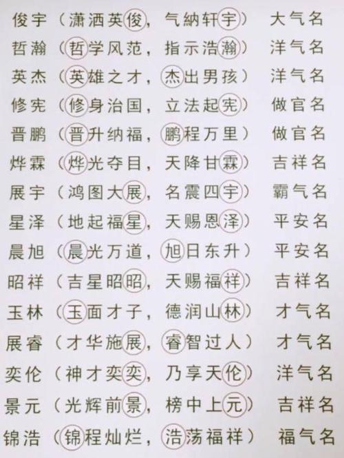 1946年子时出生的生肖属狗人是什么命，火狗之命，活力充沛 属狗子时出生的男孩