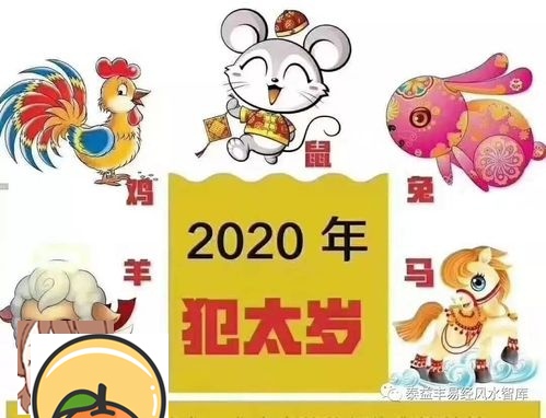 属猴2020年可以生鼠宝宝吗，几月出生旺父母 2020鼠年犯太岁的生肖