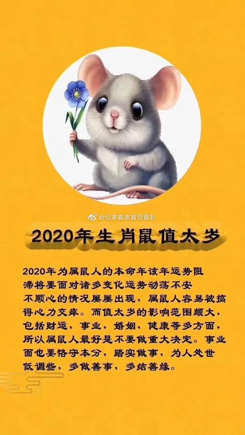 属鼠人2020年本命年适合怀孕生子吗 有什么禁忌 2020本命年生孩子好不好