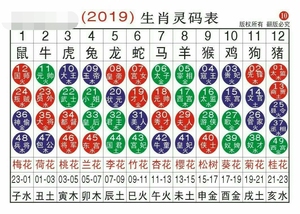 2019年属什么生肖？ 今年方什么属相