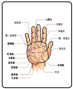 左手上长痣主财运这样的人运势发展如何 男人手相图解大全左手 财运