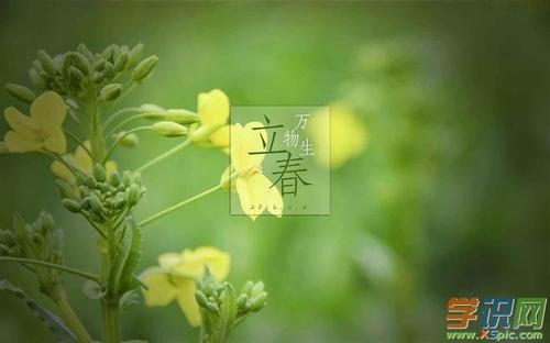 2020年立春还要几天？立春节气吃什么食物？ 大寒节气吃什么食物