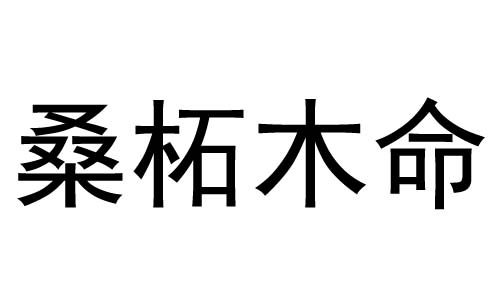 解析桑拓木命人的五行缺失 桑拓木命好吗