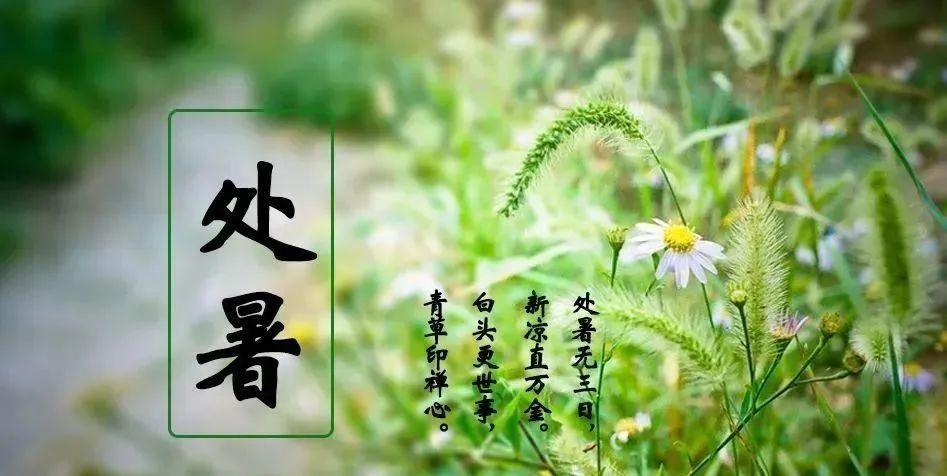 2019年处暑前一天开业好不好,出伏后天气还潮湿吗？ 处暑是哪一天