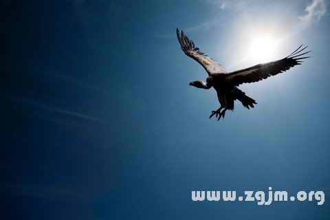 梦见乘风在天空飞翔 天空杨东旭