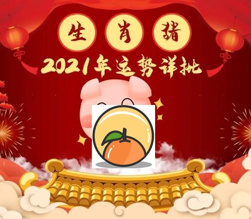 属猪人在2020年12月的运势分析 71年属猪2020年每月运势