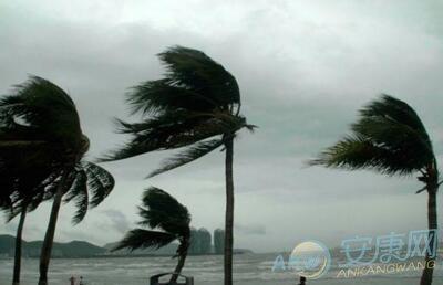 梦见狂风怎么回事 梦见狂风有什么预兆 梦见狂风暴雨