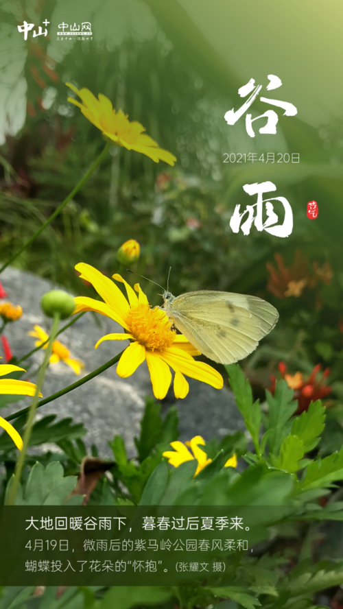 2017年谷雨是几月几号 2004年谷雨是几月几号