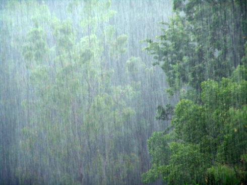 梦见淋着雨渡河 做梦梦到自己被大雨淋