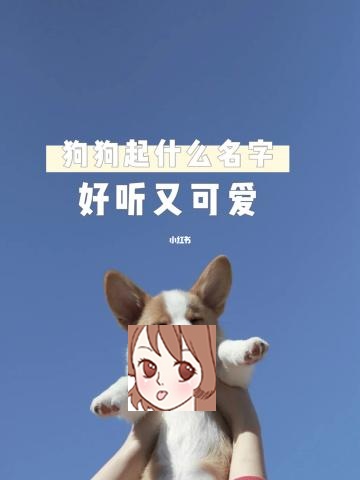 小狗狗名字取名方法 给小狗起名字