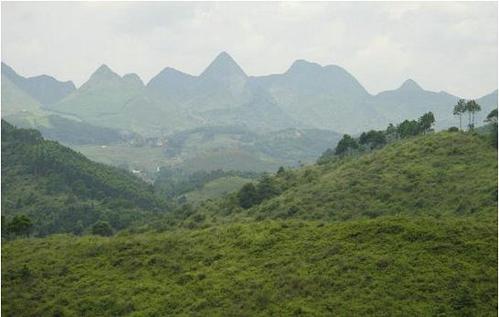 阴宅如何选地和墓碑 平原上怎么选阴宅