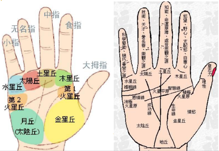 有关事业线的手相图解 手相事业线分叉图解