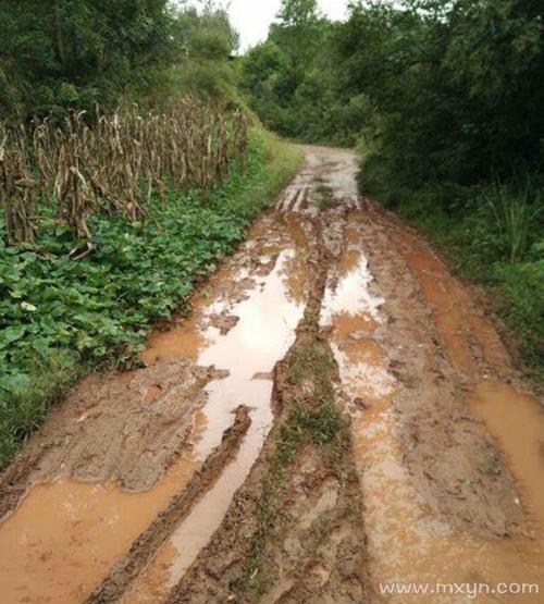 梦见在泥泞路中行走 梦见道路泥泞难走