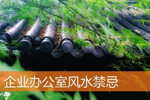 办公室风水禁忌与破解 办公室放什么植物风水好