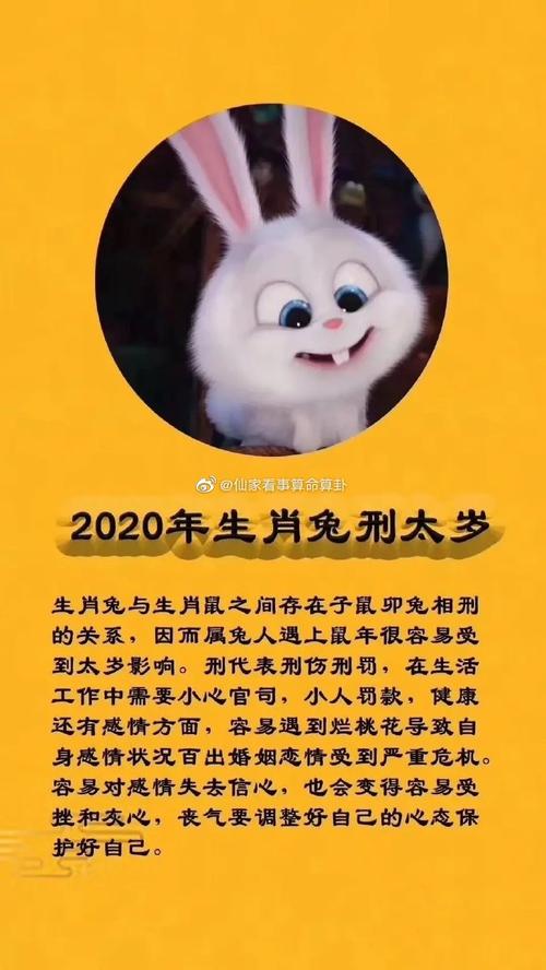 属兔人2020年运势及运程 2020年属兔每月运势