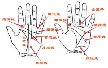 事业线和生命线相连手相图解 事业线可以替代生命线