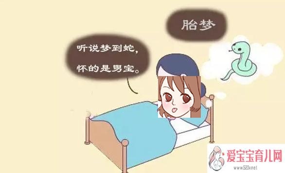 梦见怀孕体检是什么意思【好不好】 梦见蛇暗示怀孕