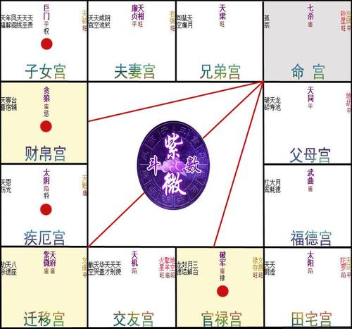 紫微斗数 紫薇星斗免费算命