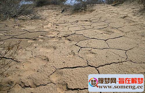 梦见荒野地 梦见自己迷路了是什么意思