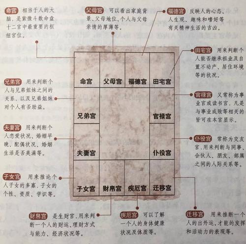 紫微斗数入门，紫微命盘各命宫详解 紫微斗数怎样定命宫