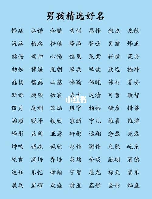 2015金羊年男孩起名大全 男孩取名叫什么好