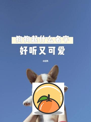 好听的狗狗名字有哪些？ 小狗取什么名字好听