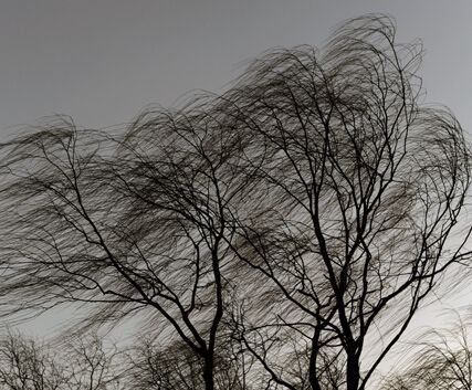 梦见暴风雨 女人梦见刮大风特别大的风